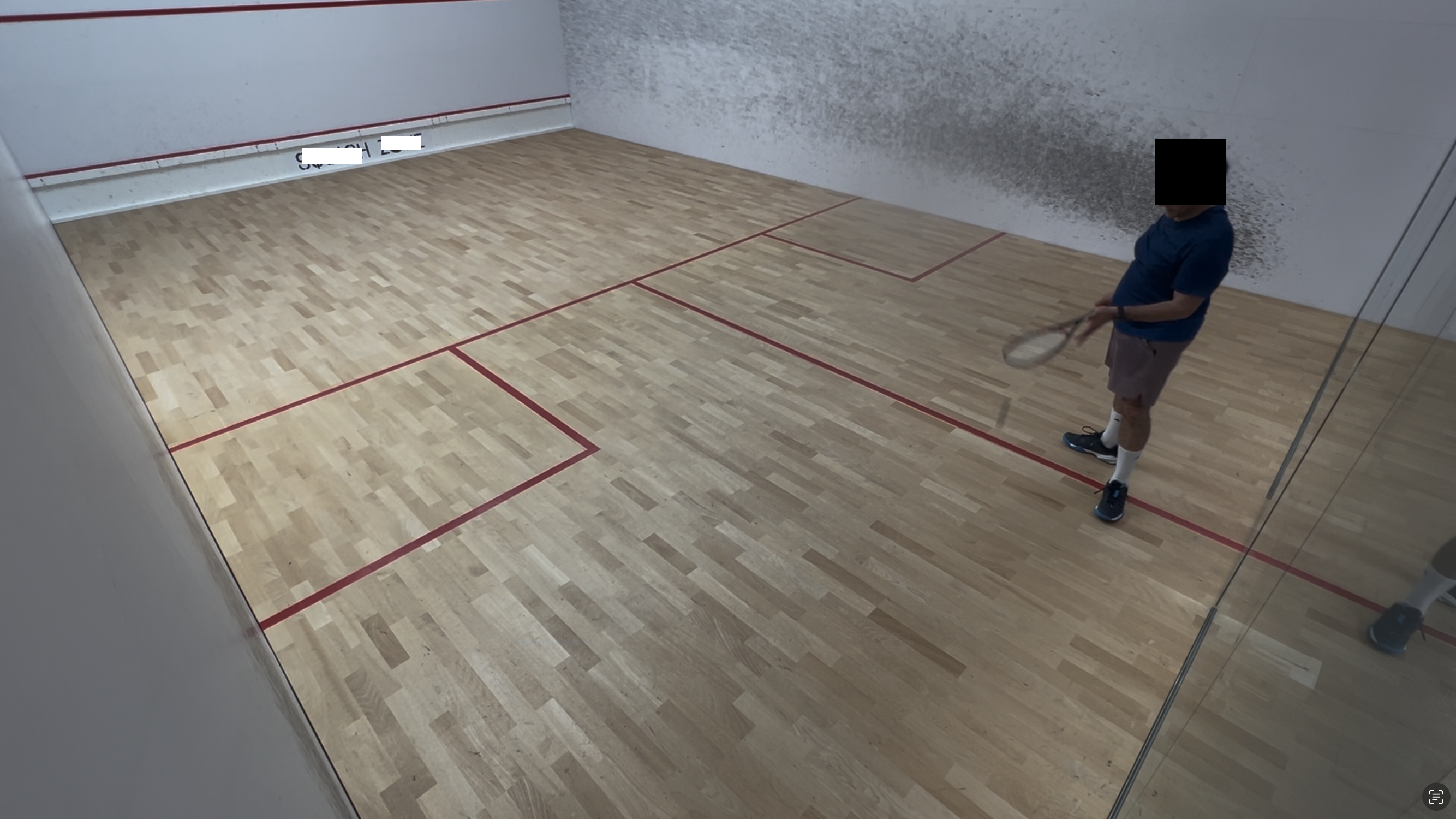 Ideal Court View Example